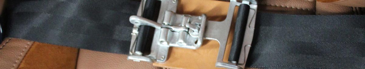 Mustang Seat Belt