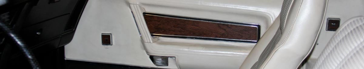 Ford Mustang Door Panel