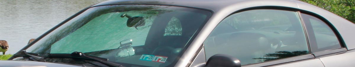 Weatherstrip