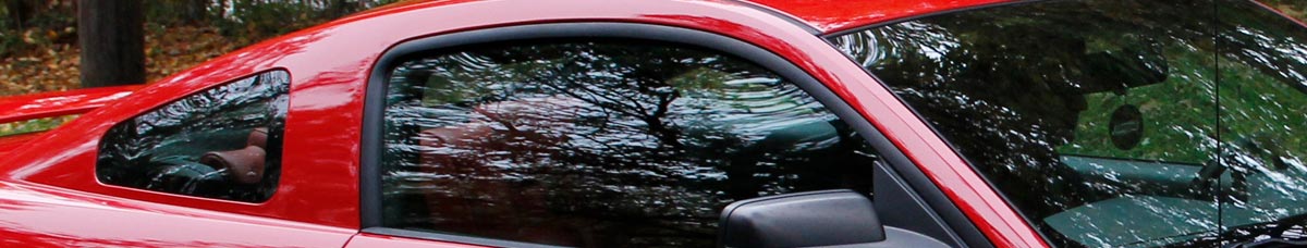 Weatherstrip