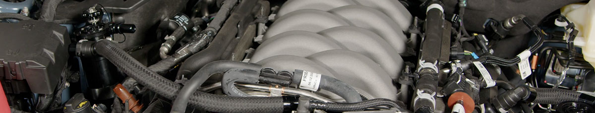 2025 Mustang Oil Separators & Catch Cans