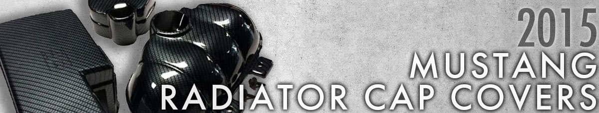 2015 Mustang Radiator Cap Covers