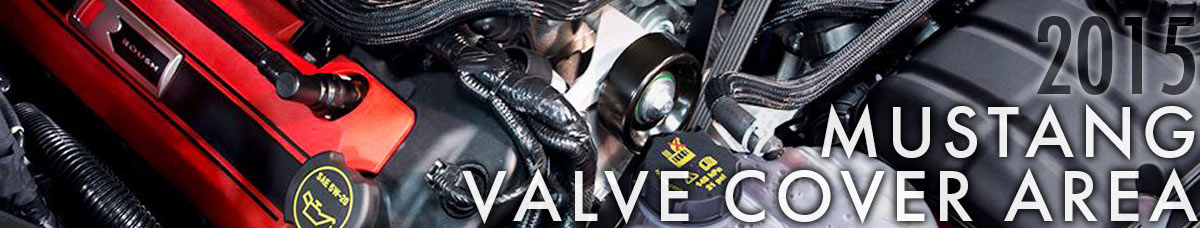 2015 Mustang Valve Cover Area