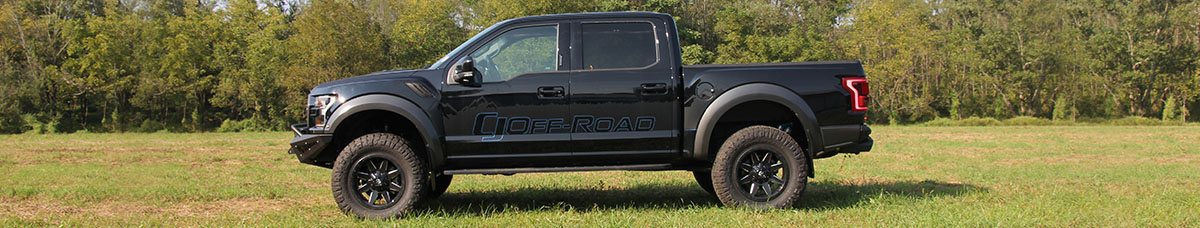 Detailing Supplies A Ford F-150 Raptor in a field