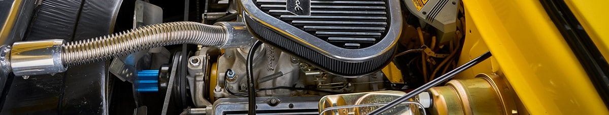 Engine Ford F-100 Engine