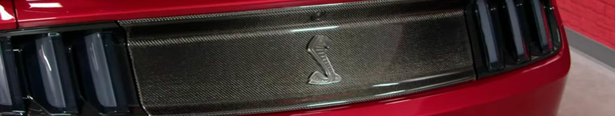 Mustang Blackout Panels