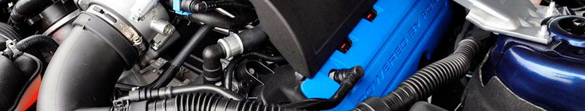 Mustang Coil Covers 1999-2020