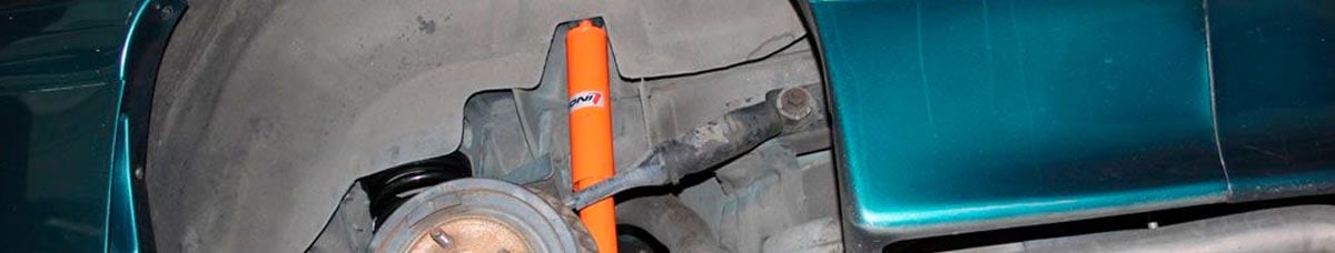 Non-Adjustable Struts & Shocks Non-adjustable shocks and struts on Mustang