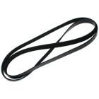 BELT19