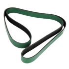 BELT43