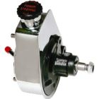 Borgeson Power Steering Pump Saginaw Chrome Self Contained With Keyway Shaft