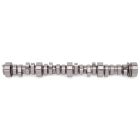 Edelbrock Rollin' Thunder Hydraulic Roller Camshaft for 1997-04 LS1/LS6 Gen III