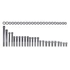 ARP Engine Bolt Kit Polished Stainless Steel 12-Point Boss Mustang 302 1969-1970
