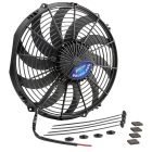 FAN107