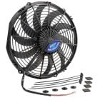FAN109