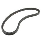 FBELT1