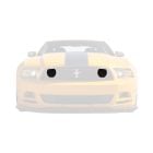 Ford Fog Light Delete Plate Boss Mustang 302 2013
