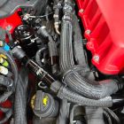 OILSEP204