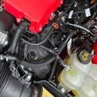OILSEP206