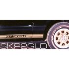 SKP2GLD
