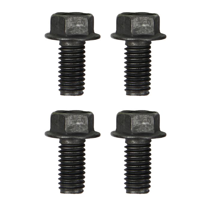 Kentucky Mustang Engine Bolt Kit Für Boss 302 (1970) – AMK-Qualität Aus Den USA