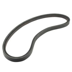 FBELT1