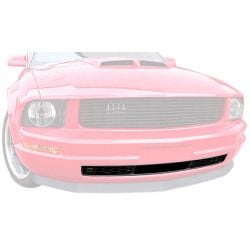 Ford Lower Grille Mustang V6 2005-2009