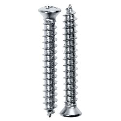 Windshield Pillar Screw Pair Mustang 1969-1970
