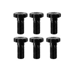 ARP Flywheel Bolt Kit 12-Point Pro-Series With Manual Transmission Small Block/Big Block