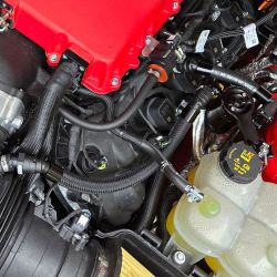 OILSEP206