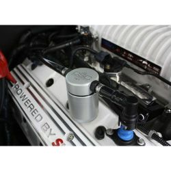 OILSEP36