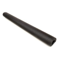 RBP1