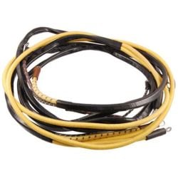Generator To Regulator Wiring Harness 6-Cylinder/ V8 F-100 1948-1951