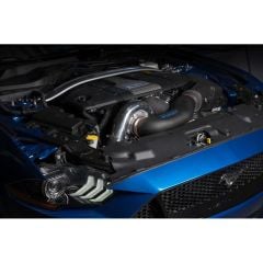 4FQ218238JT