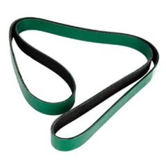 BELT37