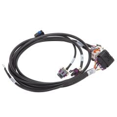 Edelbrock Pro-Flo 4 EFI Ignition/IAC Harness for Chevrolet Gen IV 58X LS Engine