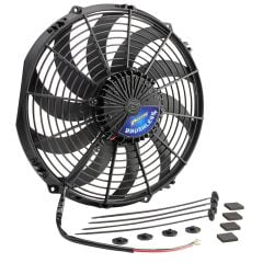 FAN109