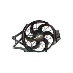 FAN53