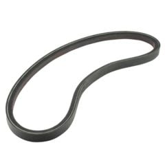 FBELT1