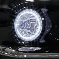 HLA36