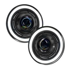 HLA695C