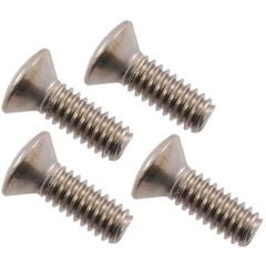 Tailgate Handle Mounting Plate Screw Set F-100 1964-1972