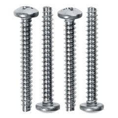 Back-Up Light Lens Screws Set Mustang 1969-1970