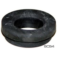 SCS4