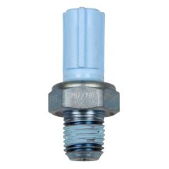SW244
