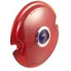 Taillight Lens With Blue Dot F-100 1948-1952