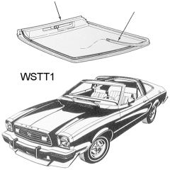 Wstt1