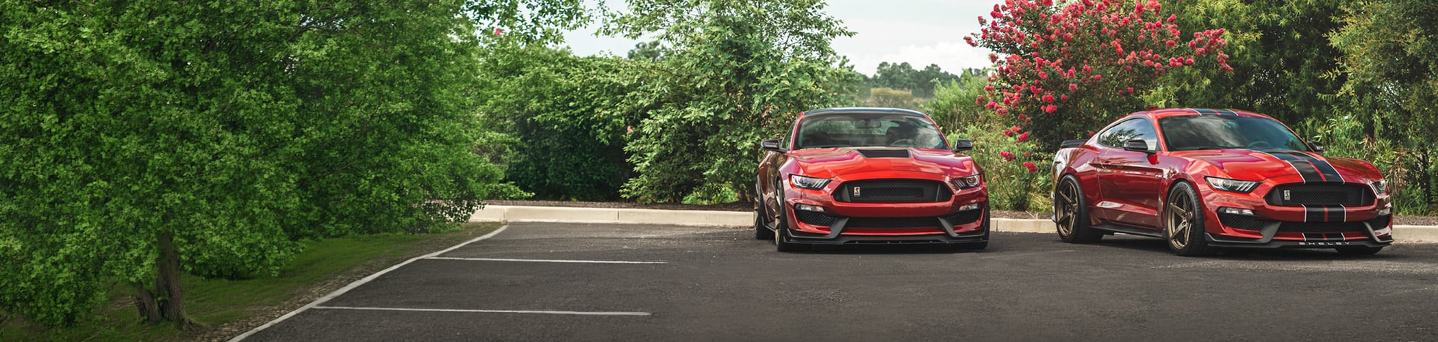 Image of two red Mustangs in a parking lot