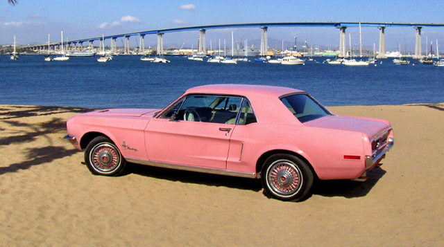 Passionate Pink Mustang