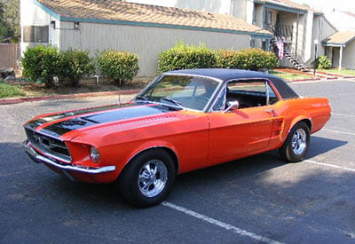 Ski Country Mustang